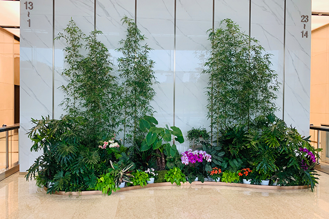 IM����԰�������̻������м�