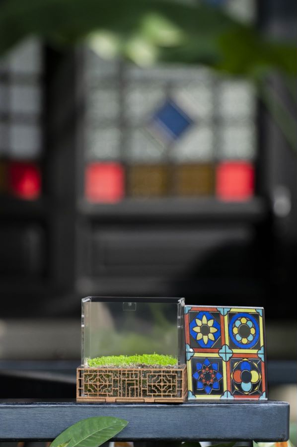 IM������(�й���)�ٷ���վ -APP����