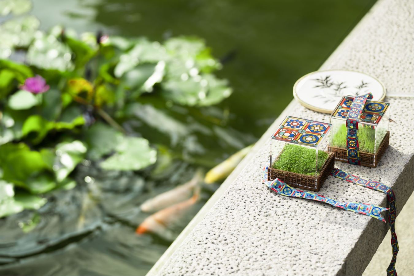 IM������(�й���)�ٷ���վ -APP����