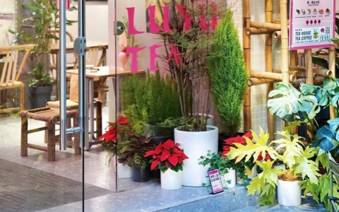 ����� | �����������ʽ�����������Ȼ��������