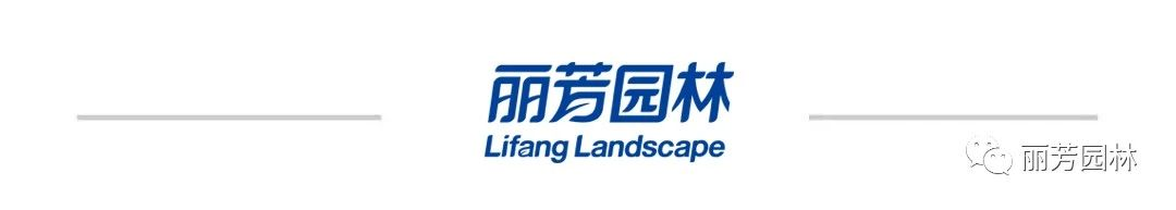 IM������(�й���)�ٷ���վ -APP����