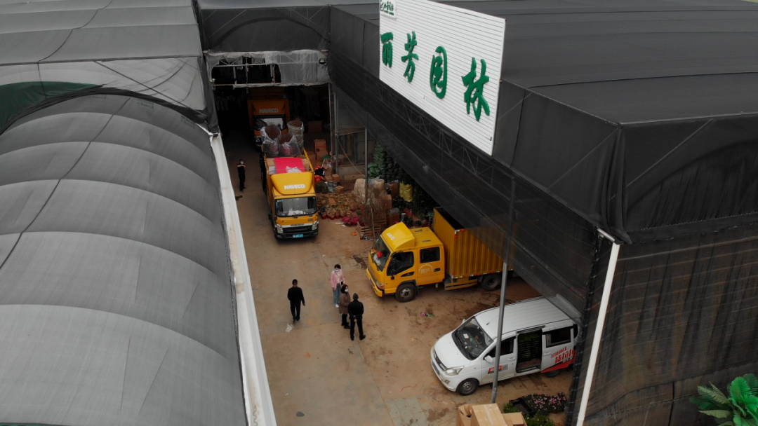 IM������(�й���)�ٷ���վ -APP����