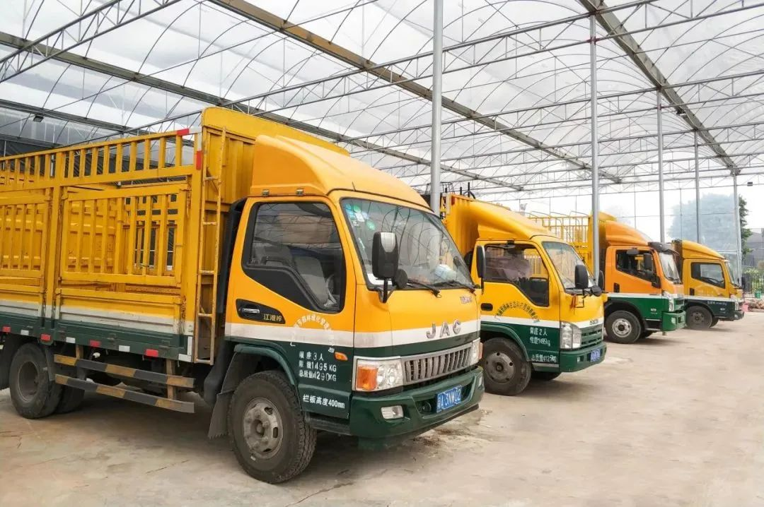 IM������(�й���)�ٷ���վ -APP����