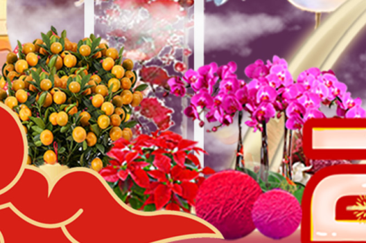 IM������(�й���)�ٷ���վ -APP����