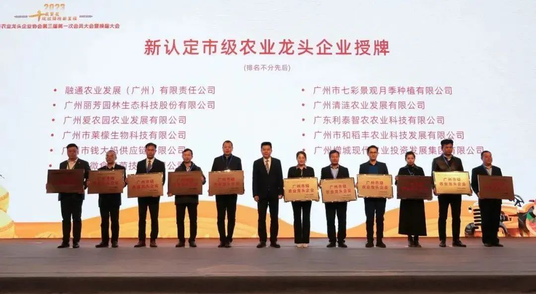 IM������(�й���)�ٷ���վ -APP����