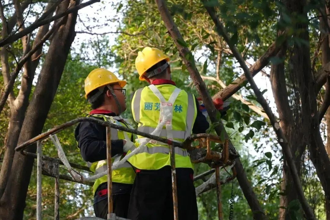 IM������(�й���)�ٷ���վ -APP����