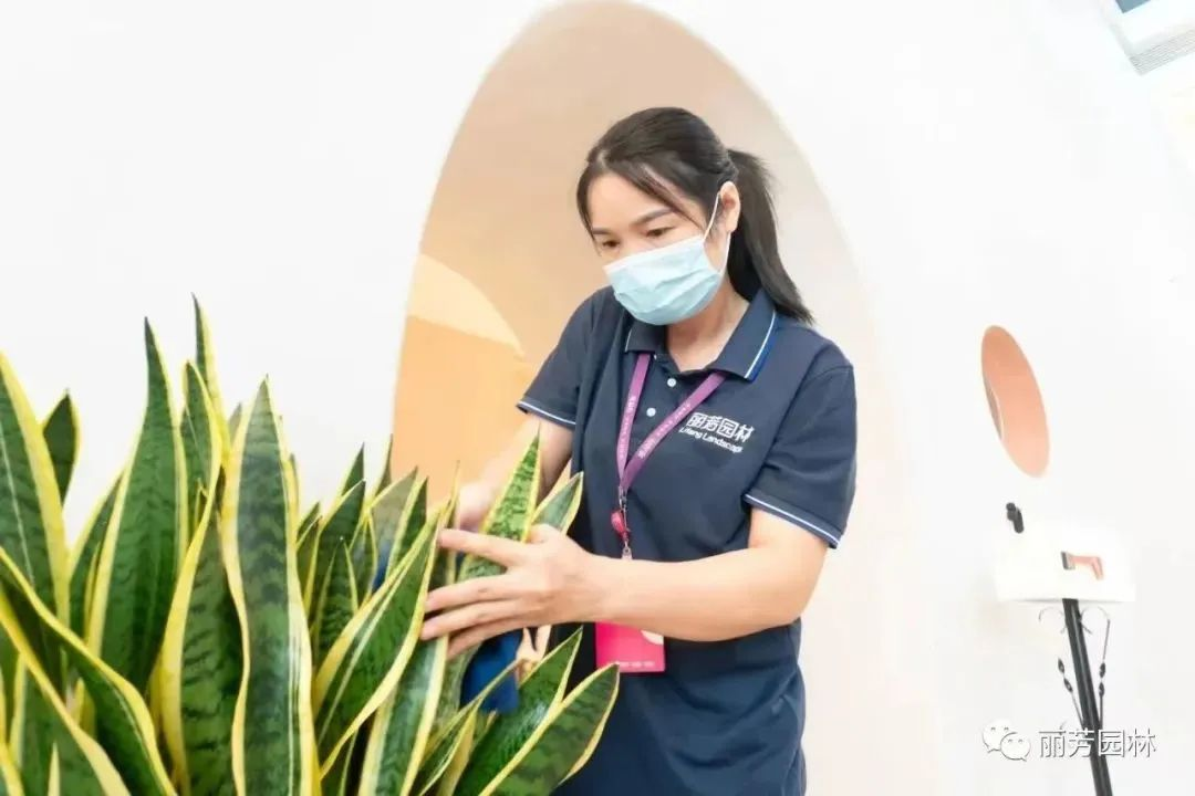 IM������(�й���)�ٷ���վ -APP����