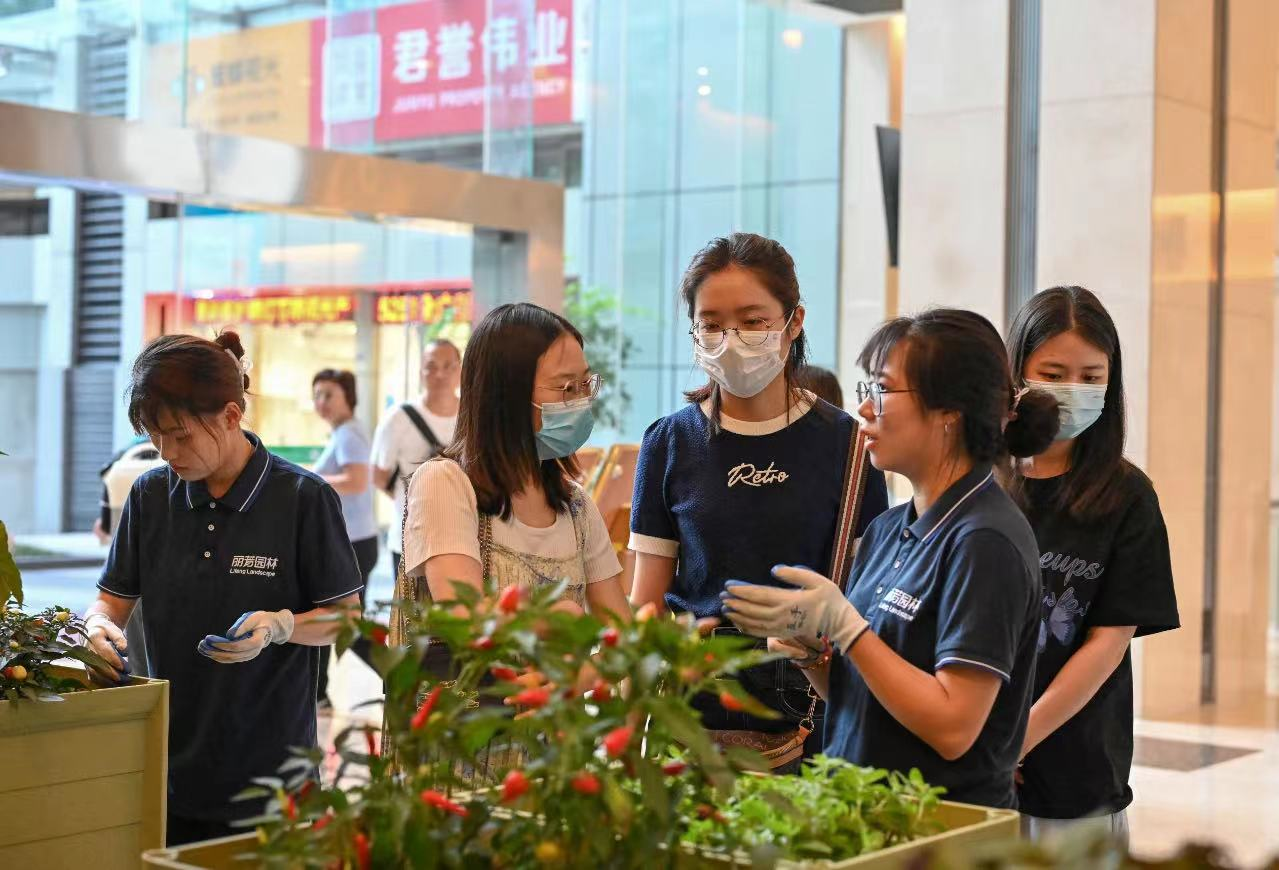 IM������(�й���)�ٷ���վ -APP����