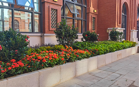 IM����԰�ְ�������ɽ��ѧ������̻�����������ĿԲ��ʵ��