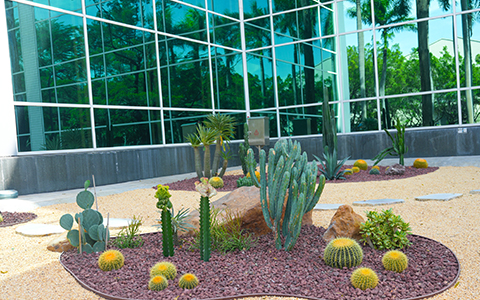 IM����԰�ְ������������ݹ�����ھ���ˢ��Բ��ʵ�֣�