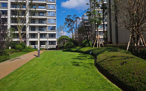 ϲѶ��IM����԰���б��л���ï���·��������̻�������Ŀ