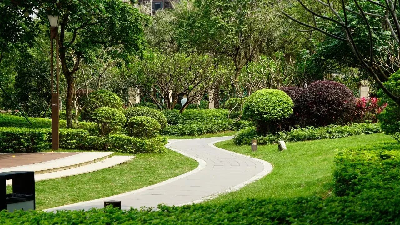 IM������(�й���)�ٷ���վ -APP����