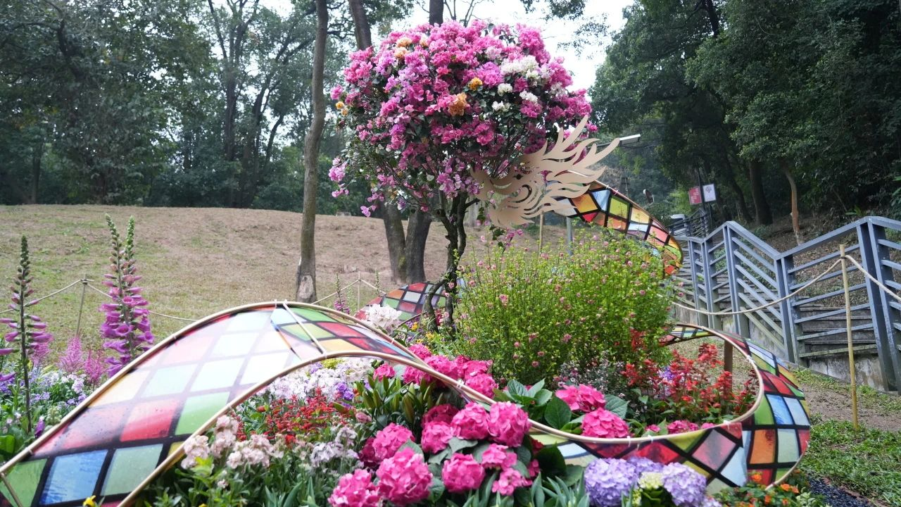 IM������(�й���)�ٷ���վ -APP����