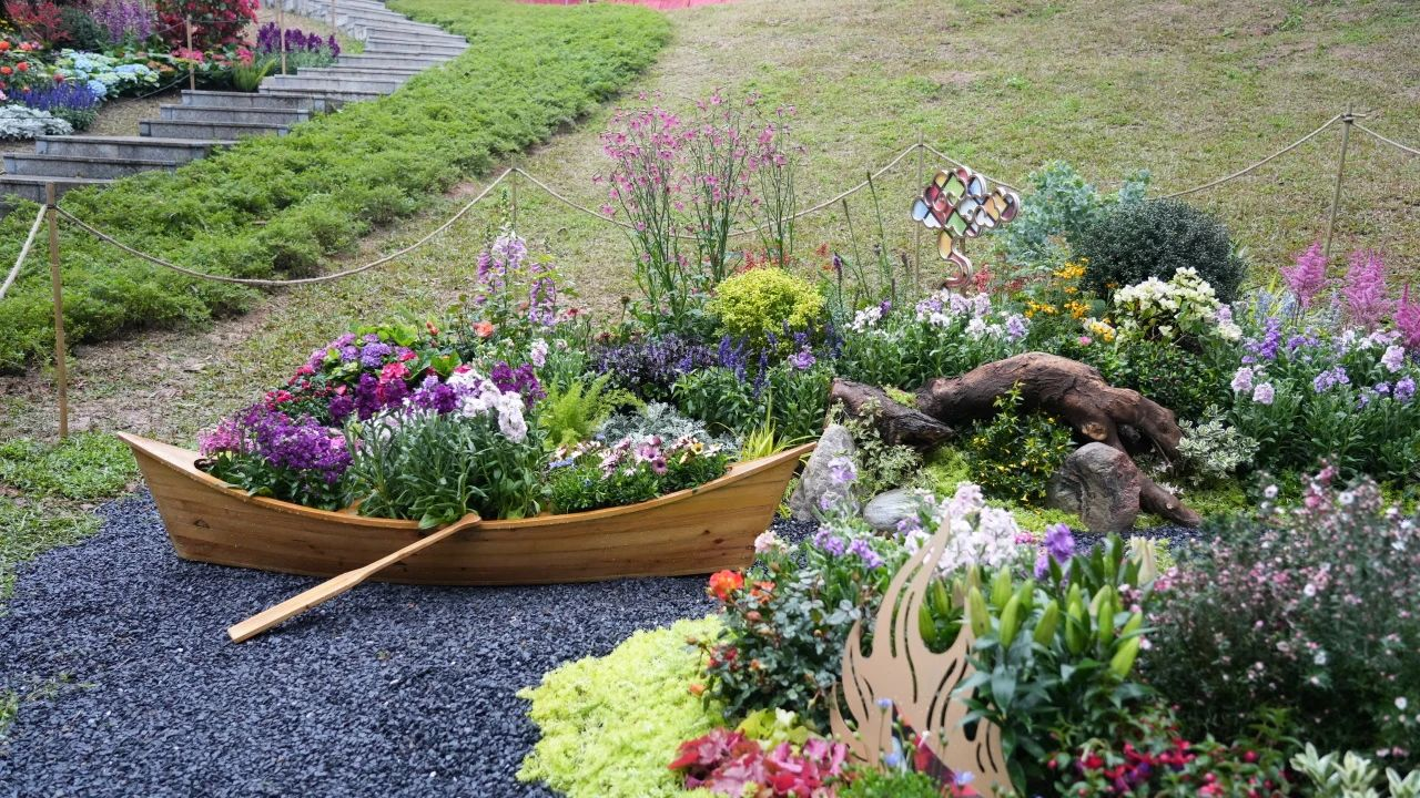 IM������(�й���)�ٷ���վ -APP����