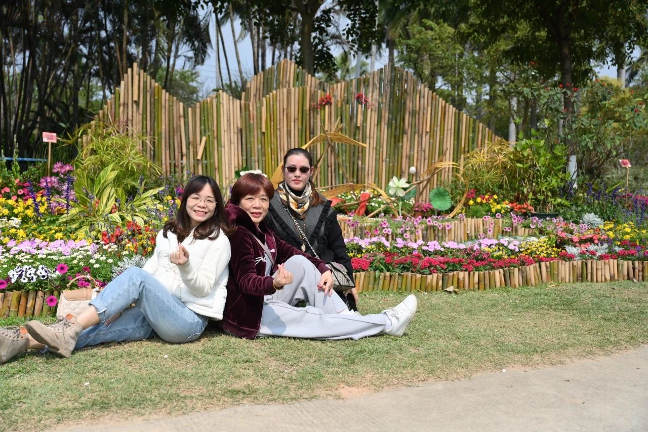 IM������(�й���)�ٷ���վ -APP����