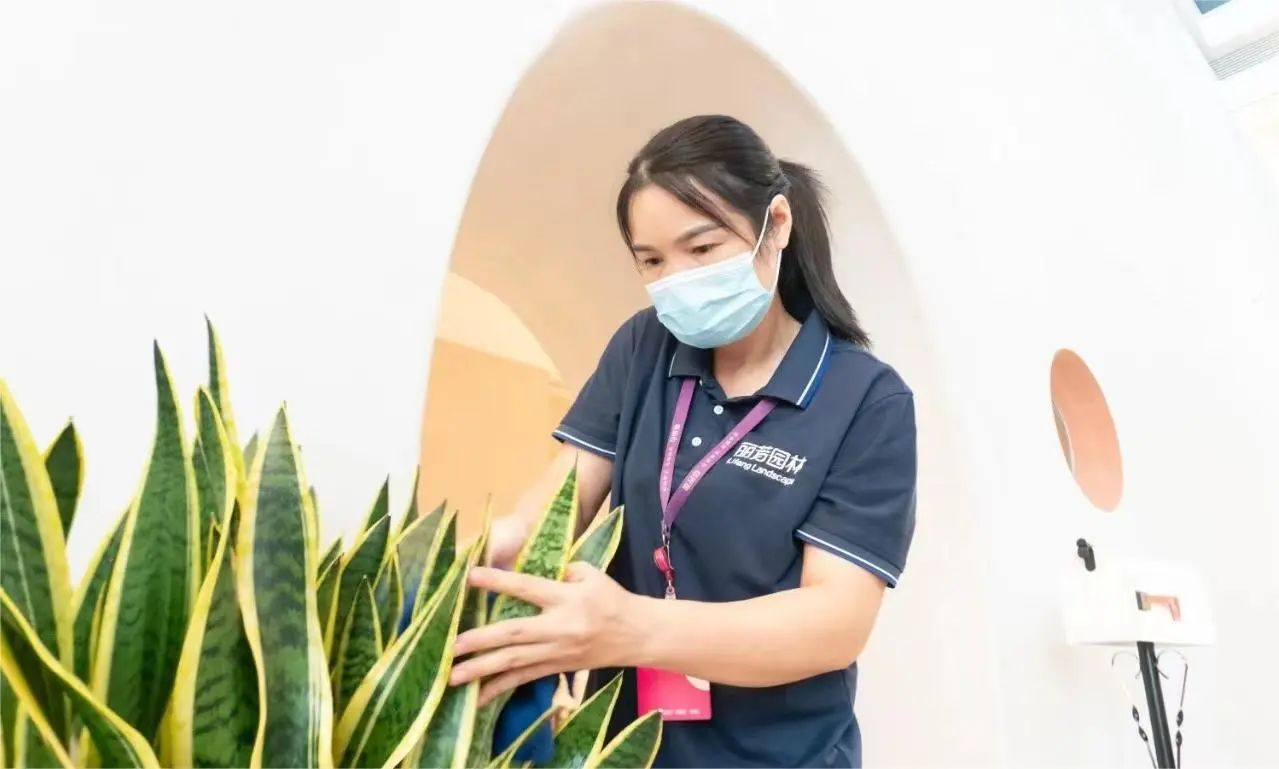 IM������(�й���)�ٷ���վ -APP����