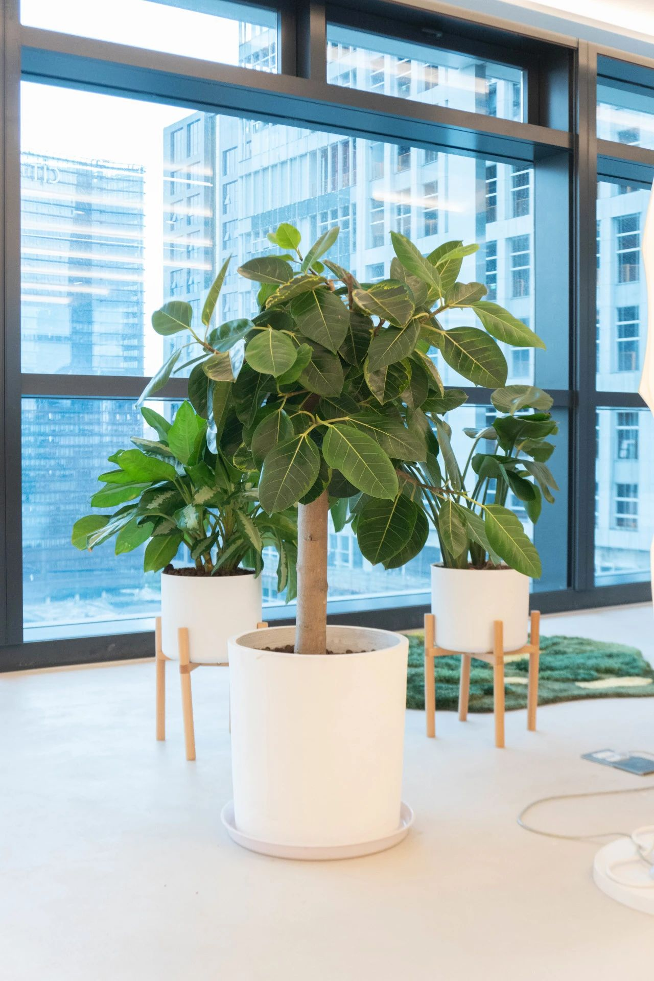 IM������(�й���)�ٷ���վ -APP����