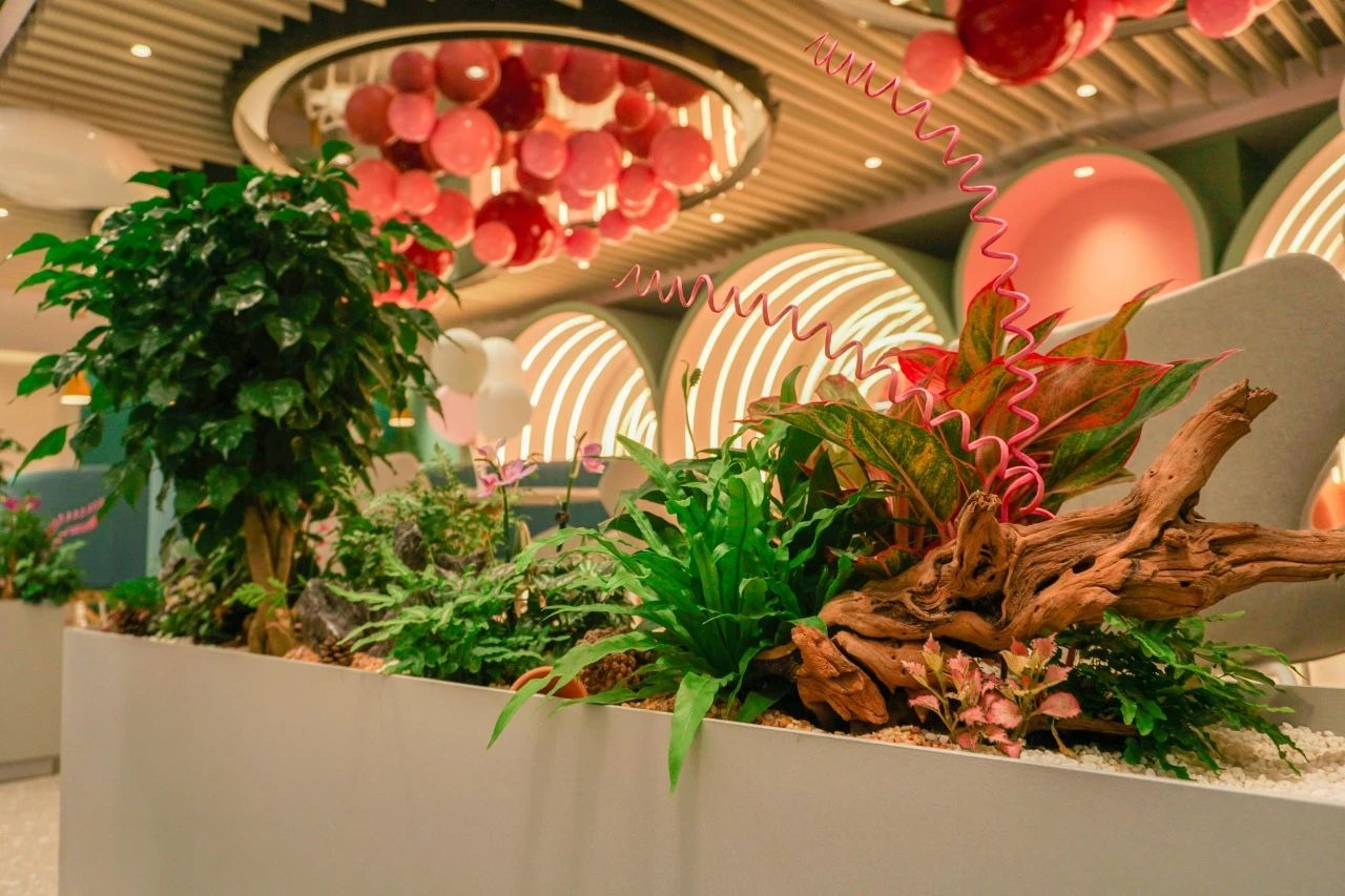 IM������(�й���)�ٷ���վ -APP����