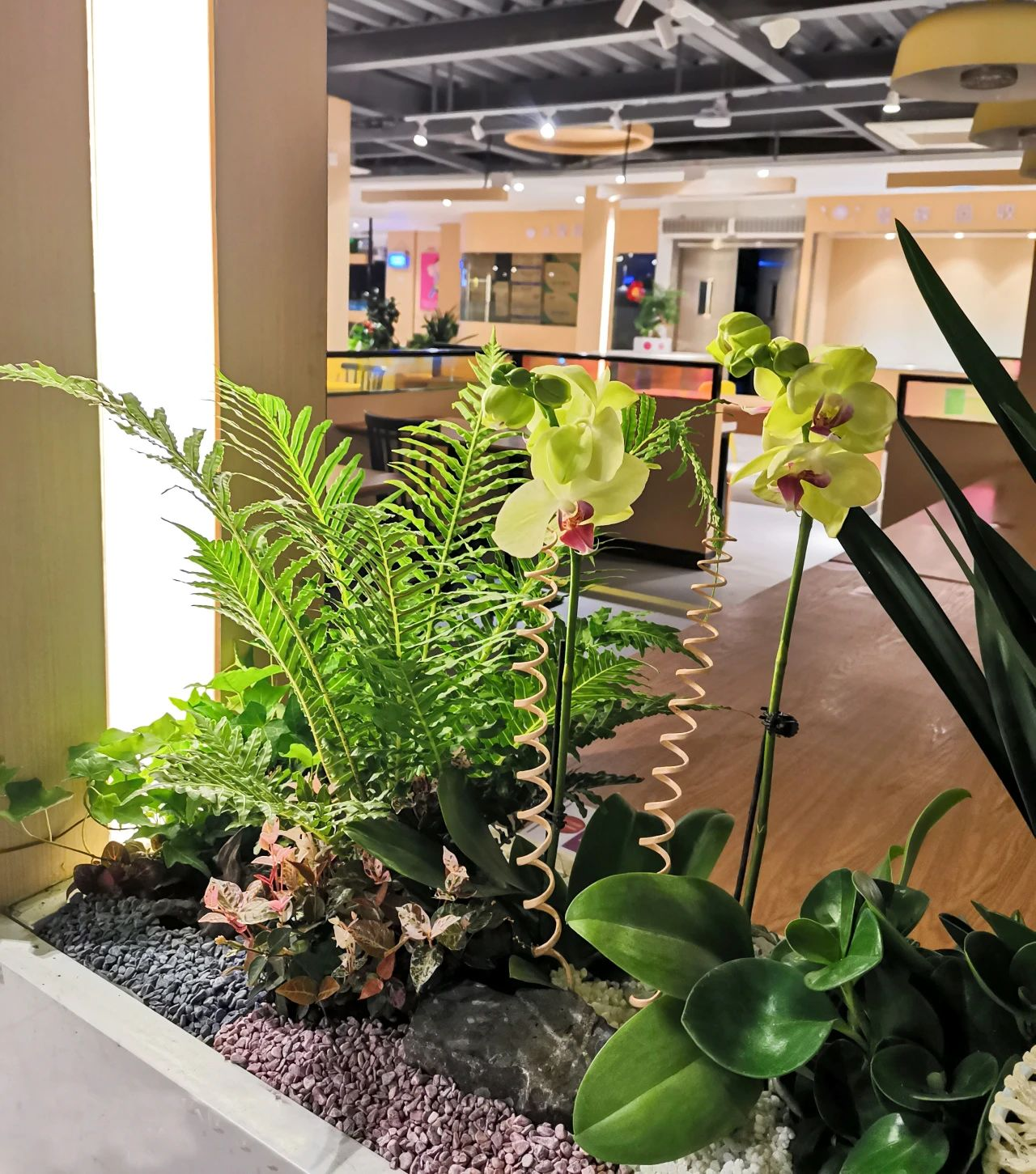 IM������(�й���)�ٷ���վ -APP����