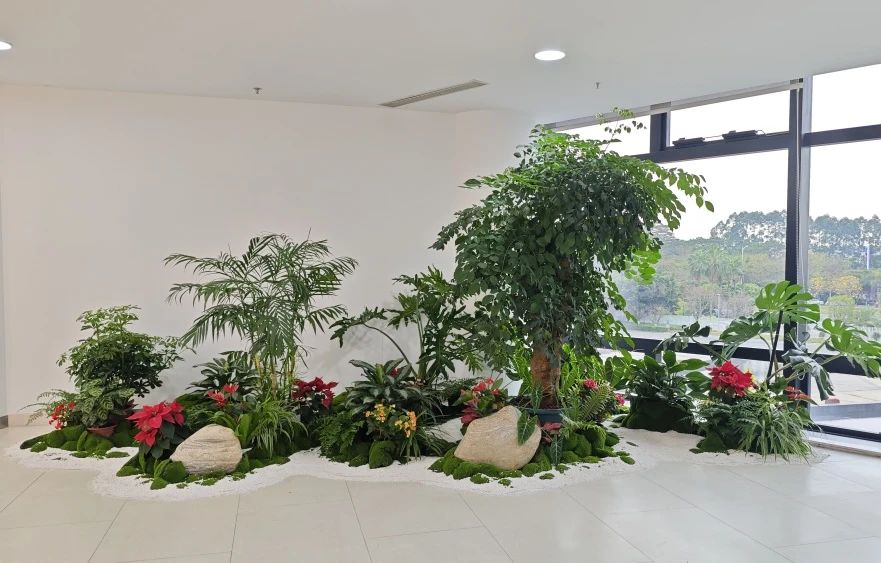 IM������(�й���)�ٷ���վ -APP����