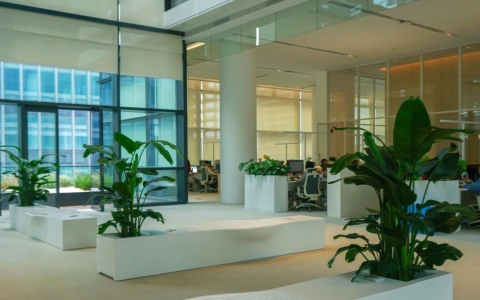 ��̬�칫�����ɺ��� | ��ɫ�칫�·���