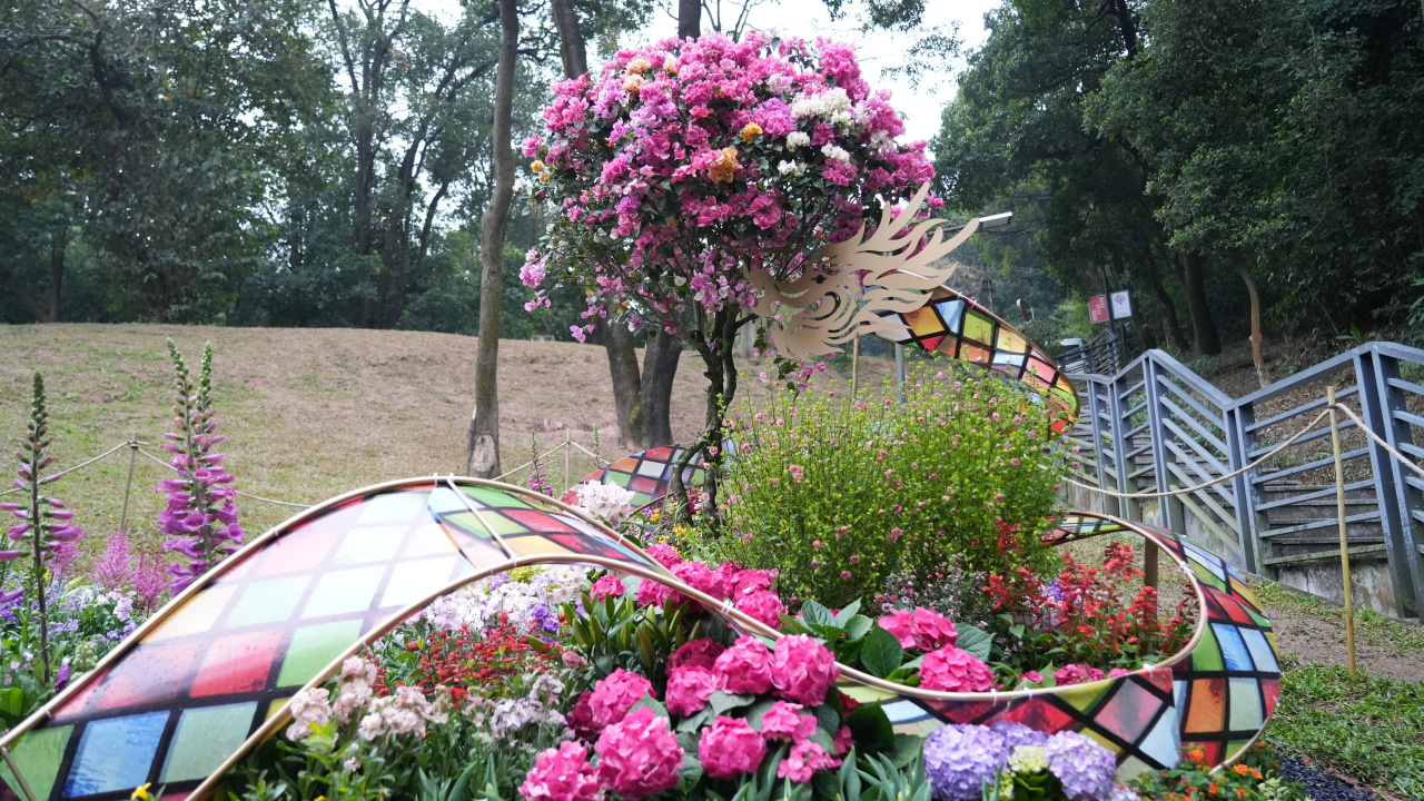 IM������(�й���)�ٷ���վ -APP����