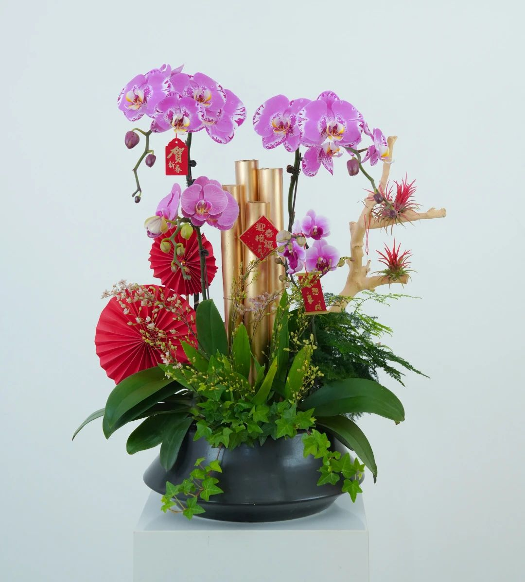 IM������(�й���)�ٷ���վ -APP����