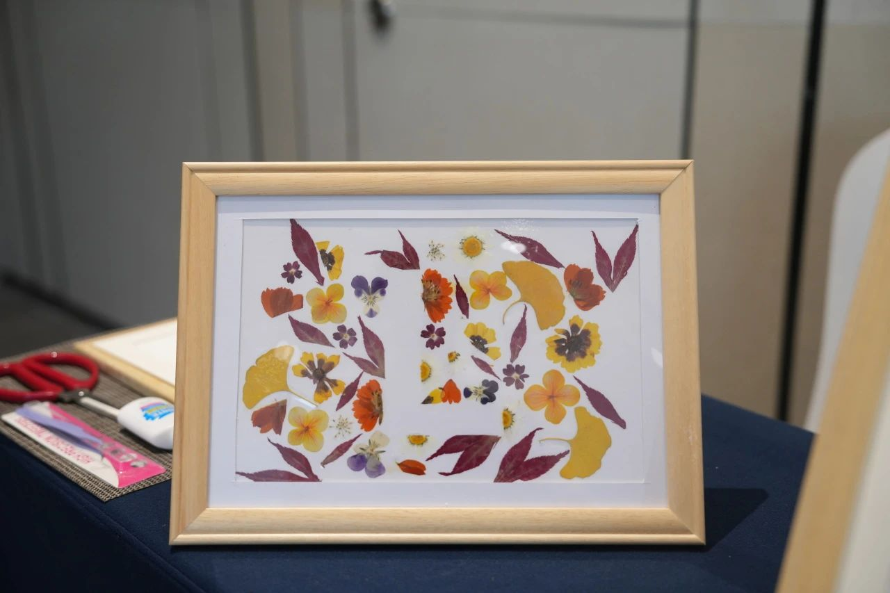 IM������(�й���)�ٷ���վ -APP����