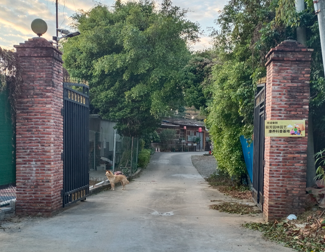 IM������(�й���)�ٷ���վ -APP����