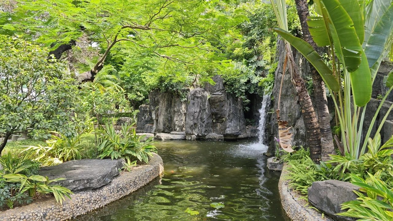 IM������(�й���)�ٷ���վ -APP����