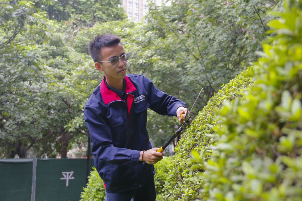 IM������(�й���)�ٷ���վ -APP����