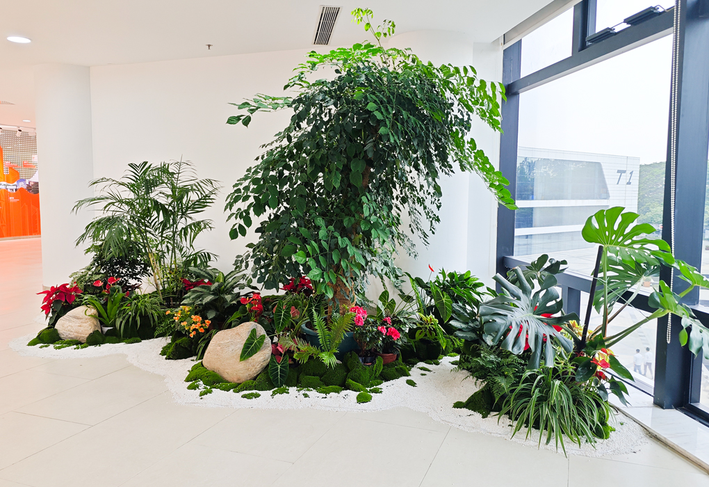 ��������Ժ��ֲ���