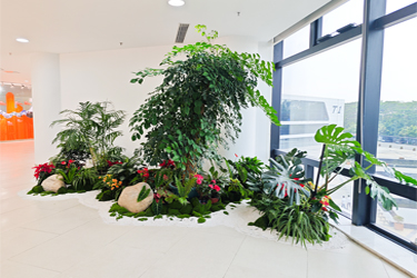 IM������(�й���)�ٷ���վ -APP����