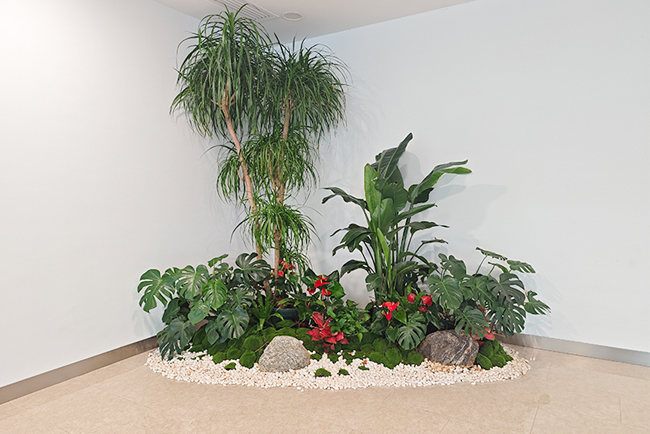 ��������Ժ��ֲ���