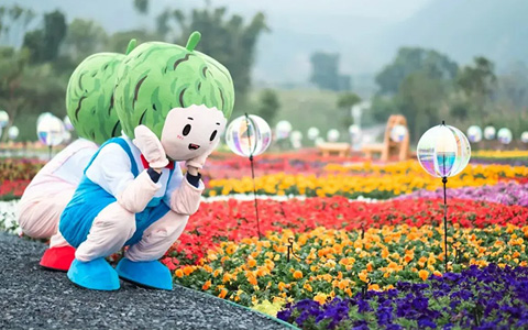 IM������(�й���)�ٷ���վ -APP����