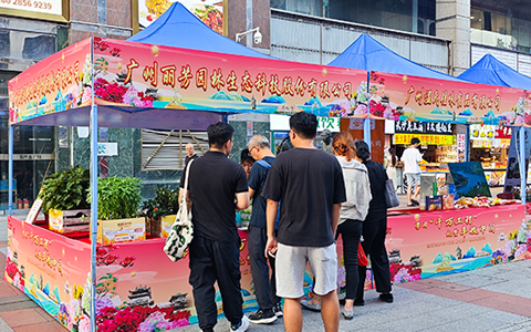 IM����԰���ԿƼ����������ǽ��������Ƕ�ʻ���