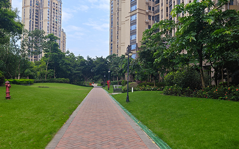 IM������(�й���)�ٷ���վ -APP����