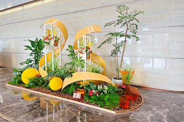 IM����԰����ֲ��ڡ������ƽ�ش���