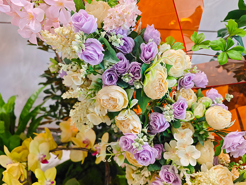 IM����԰����ֲ��ڡ������ƽ�ش���