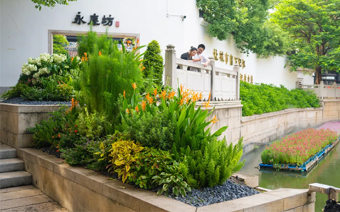 ������ư�����IM����԰�ֽ��Ĵ������췻��Ī�λ��ԡ�����ʢ��