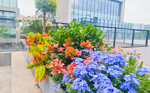 IM����԰�ְ���������ۿƼ�԰����������조�����͡�ó�׿ռ�