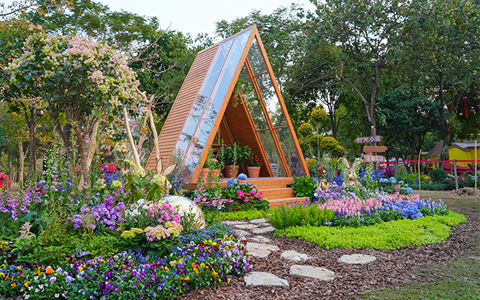 IM����԰�֡���Ͱ���ֲ԰��������ƻ��32�����԰�����