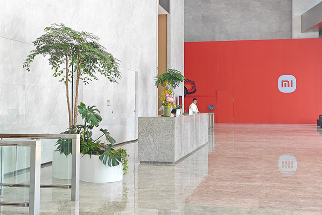 �������״�����ֲ���