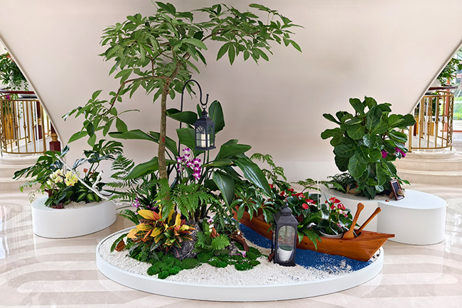 ��ݸ��Ϊ�з�������ֲ��ڰ���