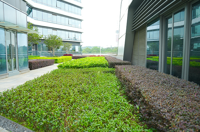 ����Խ����ʻ��������̻�����