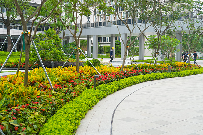 ��ɽ�����������ܲ����۹���ʩ��