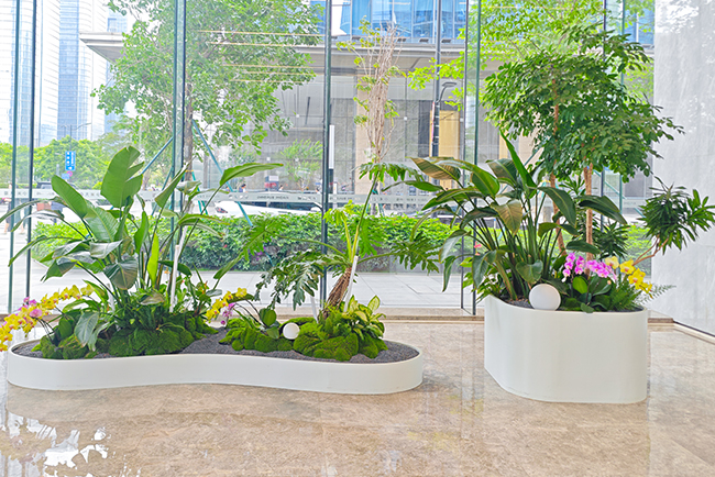 д��¥ֲ������