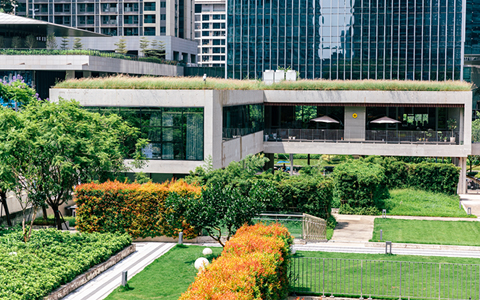 �̻��������� | ��������Ƴ���ƹ�����������������Ȼ