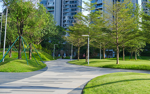 IM������(�й���)�ٷ���վ -APP����