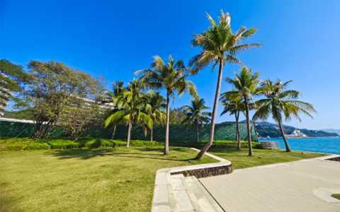 IM����԰�ְ��� | �������Ž�ɳ������רҵ��������ɽ������